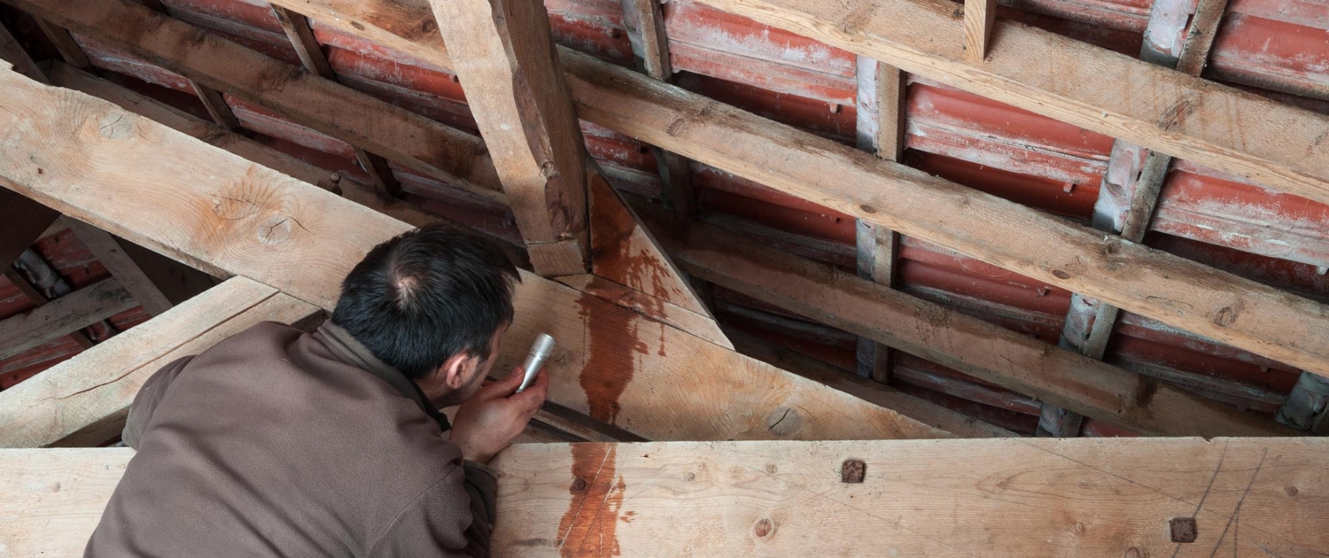 Worker inspecitng leak in attick