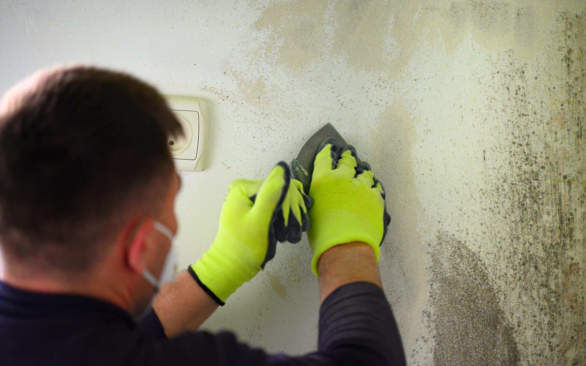 Mold Remediation for Commercial Buildings - Preferred Restoration Services