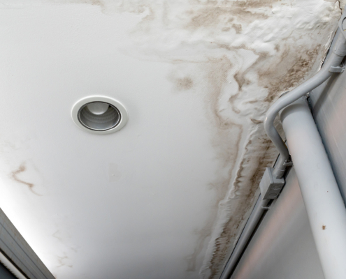 Worm's eye view of a ceiling affected by water damage and mold