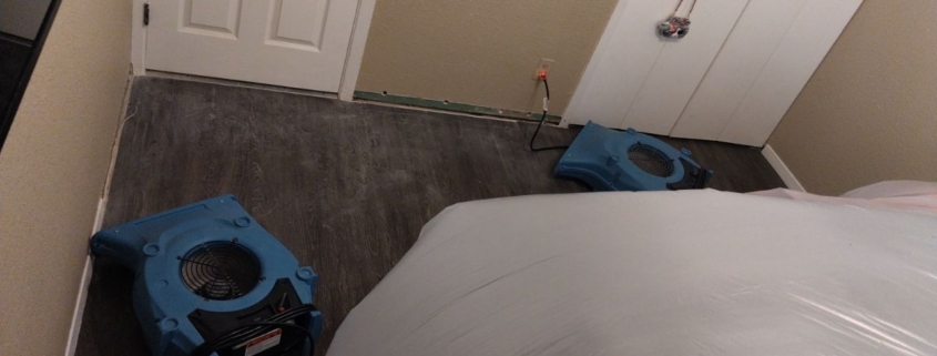 Signs Your Basement Needs Water Damage Repair in Canyon Lake, TX