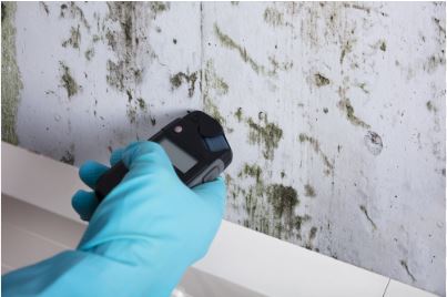Professional commercial mold remediation team in protective gear removing mold from San Antonio business facility