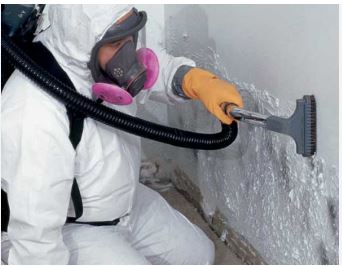 Professional commercial mold remediation team in protective gear removing mold from San Antonio business facility
