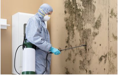 Professional commercial mold remediation team in protective gear removing mold from San Antonio business facility