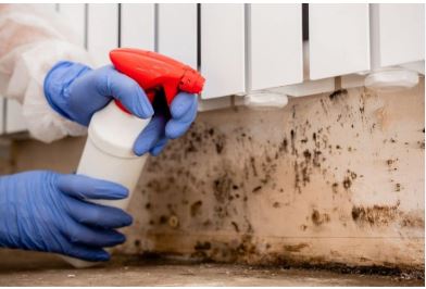 Professional commercial mold remediation team in protective gear removing mold from San Antonio business facility