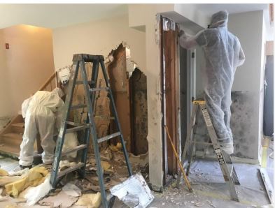 Professional commercial mold remediation team in protective gear removing mold from San Antonio business facility