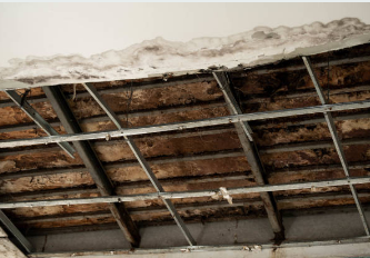 Commercial Roofing Water Damage Restoration Solutions 5 Commercial roofing water damage inspection showing interior ceiling damage and structural concerns