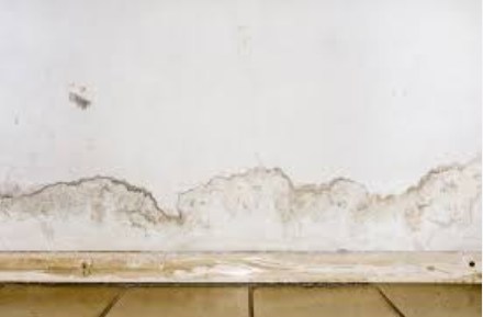 Top 5 Water Damage Restoration Austin TX Services | 24/7 Emergency Response 3 Signs of water damage restoration Austin