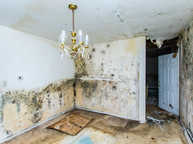 Warning signs of water damage in Buda TX including mold growth and stains