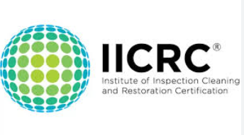 Professional Water Damage Restoration In Canyon Lake, Texas: Complete Recovery Solutions 3 Professional water damage assessment in Canyon Lake TX home showing IICRC certification