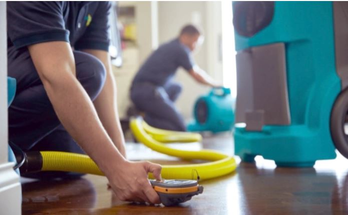 Professional water removal what to do after water damage extraction San Antonio