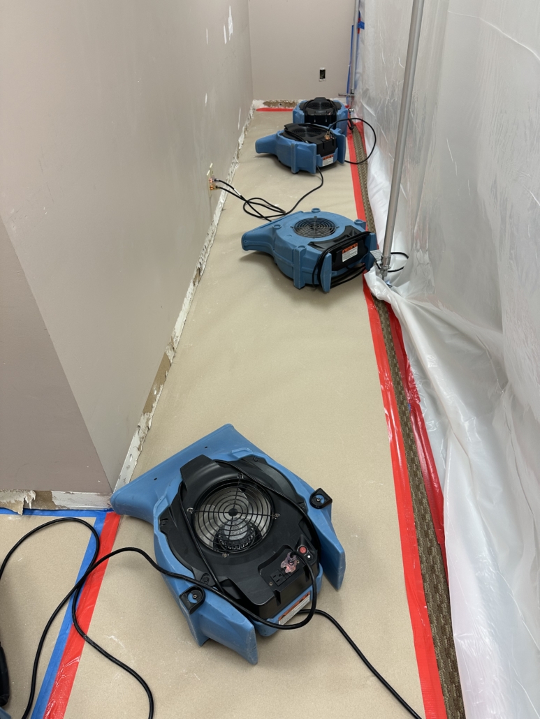 Photo Aug 13 2025 1 17 26 PM