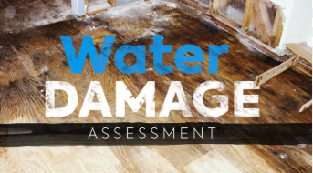 Water damage restoration Live Oak TX professional assessment