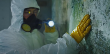 Professional water damage restoration Houston warning signs mold growth structural damage emergency response