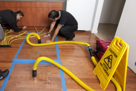 10 Expert Tips for Water Damage Restoration Live Oak TX - Protect Your Home Today 2 Water damage restoration Live Oak TX professional assessment
