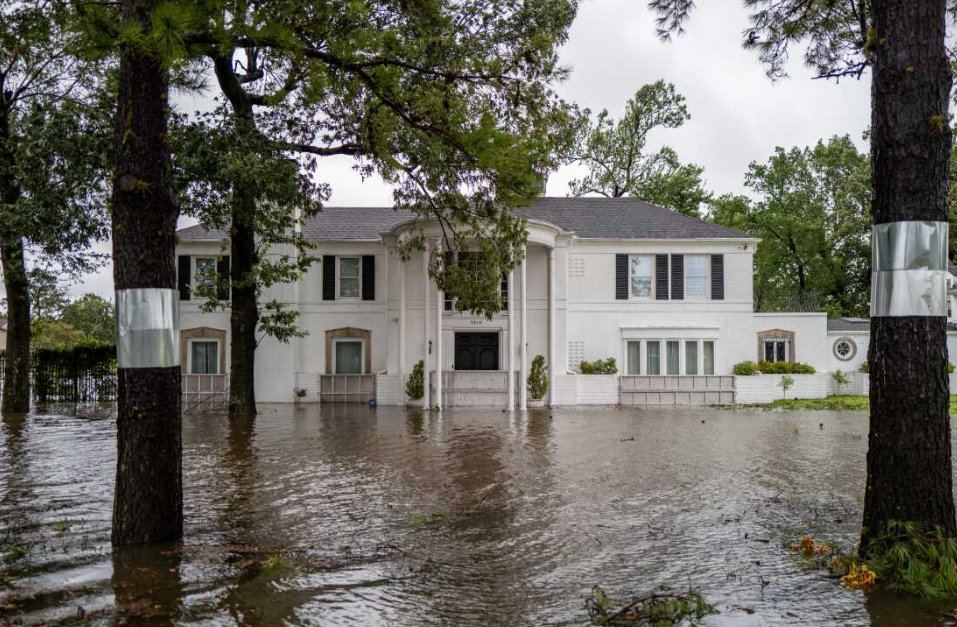 10 Expert Tips for Water Damage Restoration Live Oak TX - Protect Your Home Today 3 image 28