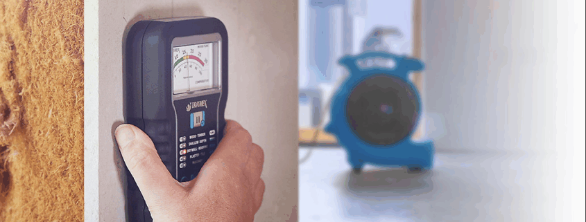 Complete Water Damage Restoration Services Universal City, TX: Protect Your Property Today 1 Professional water damage restoration Universal City Texas -process showing moisture detection and drying equipment