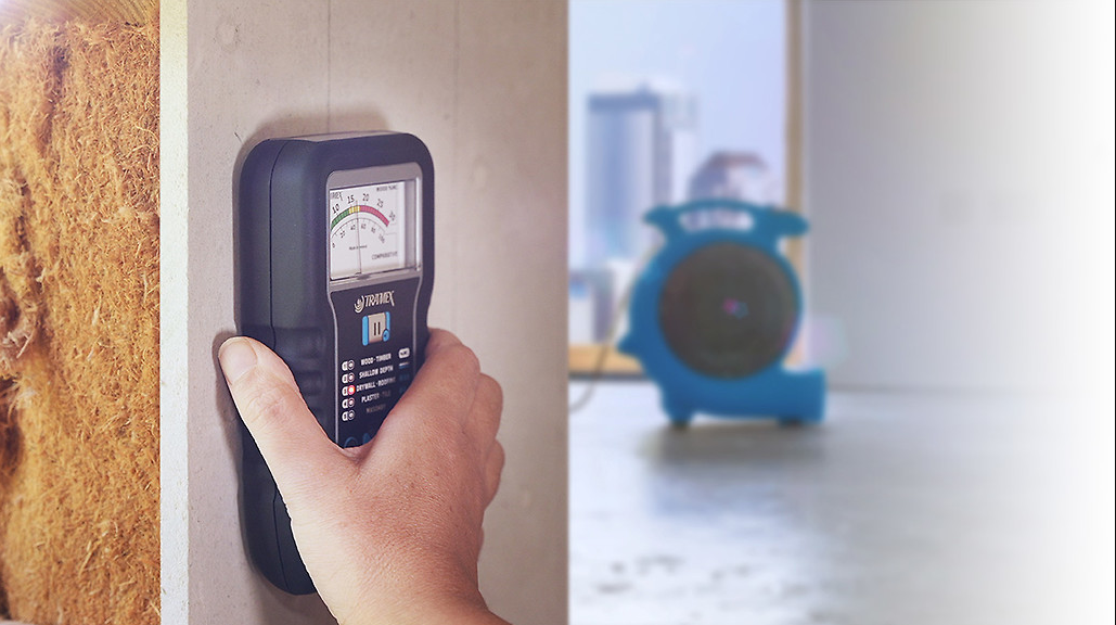 Professional water damage restoration New Braunfels moisture detection equipment