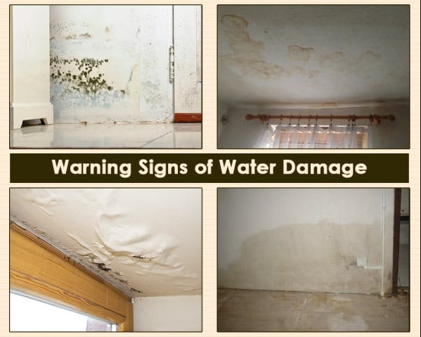 Professional Water Damage Restoration Schertz : Your Complete Guide to Emergency Water Damage Recovery 6 Water damage restoration Schertz TX warning signs comparison showing before and after conditions
