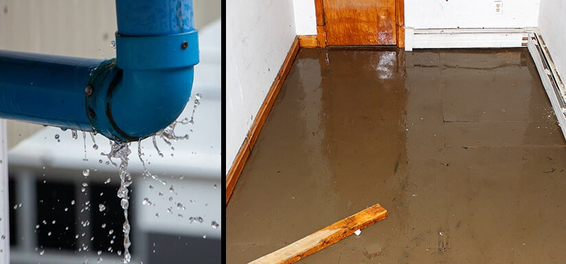 7 Expert Tips for Water Damage Restoration Seguin, Texas: Your Complete Recovery Guide 4 Seguin Texas water damage restoration needed after burst pipe flooding basement
