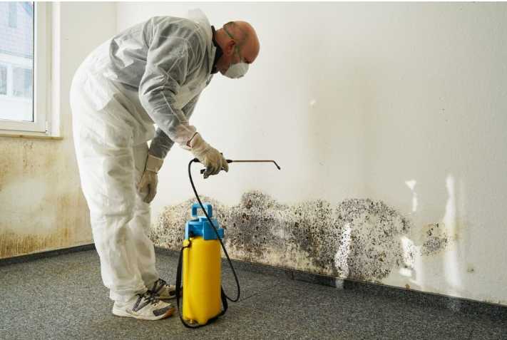 Antimicrobial treatments prevent mold growth | fire damage restoration in Live Oak