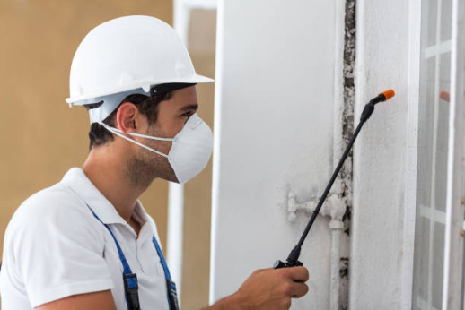 Professional fire damage restoration in Seguin soot removal process