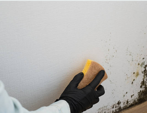 Fire damage restoration in Spring Branch soot removal using professional cleaning techniques