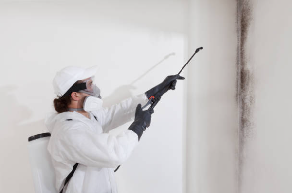  Fire damage restoration in Universal City soot removal process