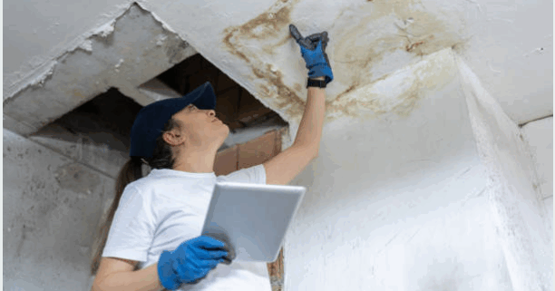 Insurance claim assistance in Austin professional assessing water damage