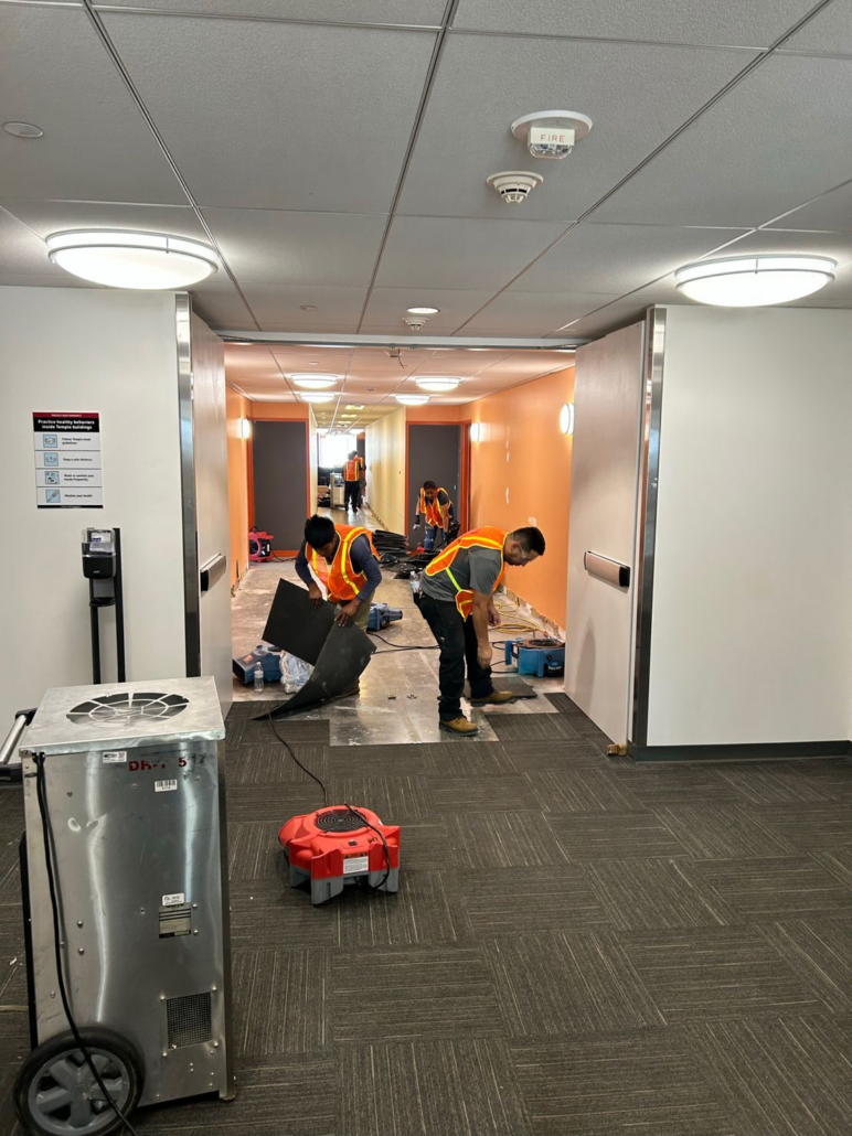 Residential Water Damage Restoration: A Complete Homeowner's Guide to Recovery 5 Professional residential water damage restoration team working in a multi-unit property