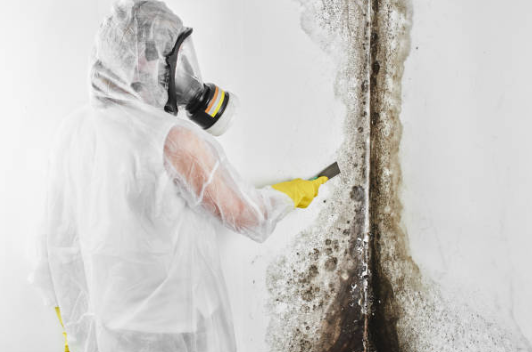 Mold Remediation 101: 7 Critical Signs, Hidden Risks, and When to Finally Call a Professional 4 certified technician performing professional mold remediation in a contained work area