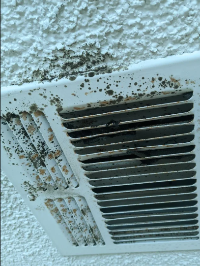 Commercial Mold Remediation: 5 Critical Truths That Protect Your Employees and Property Value 3 commercial mold remediation HVAC duct vent mold contamination in office