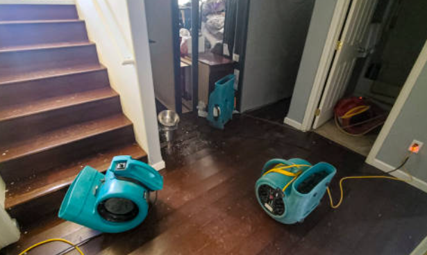 Water Damage Leon Valley, TX: Your Complete Guide to Fast, Local Restoration 2 water damage leon valley TX home restoration professional drying