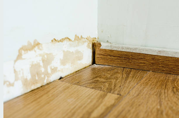 Water Damage Leon Valley, TX: Your Complete Guide to Fast, Local Restoration 4 water damage leon valley mold growth drywall baseboard restoration needed